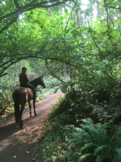 Bridle Trails State Park