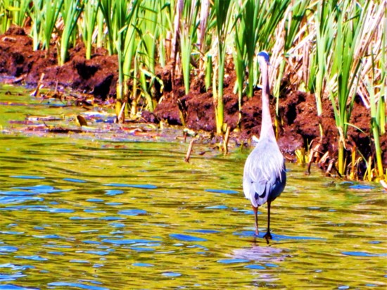 Juanita Bay Park 