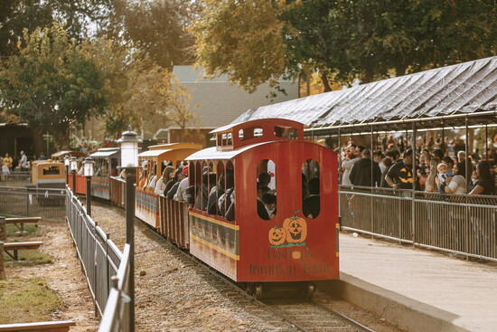 Bishop's Pumpkin Farm