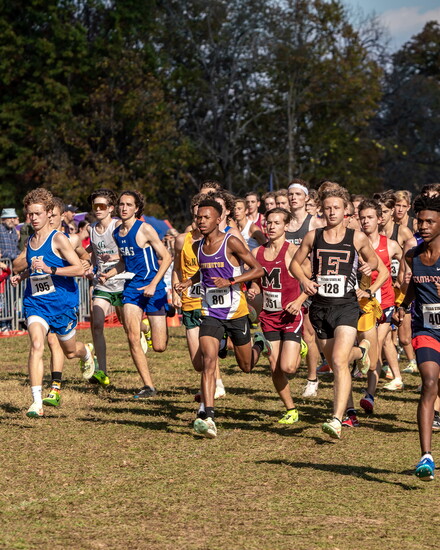 Used daily by casual walkers and runners, Sanders Ferry Park is also the home for numerous cross country events each year.