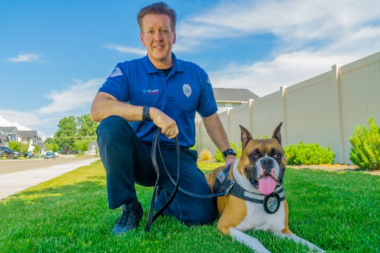 Rocky, 3 1/2 Years, Security Dog