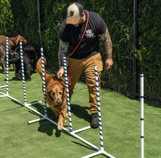 training on the obstacle course 