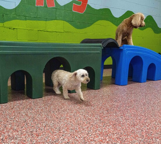 play time 
