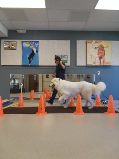 Physical therapy is like playtime for patients