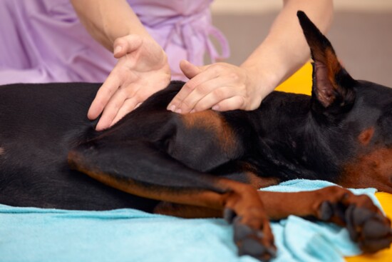 Thermotherapy and Cryotherapy as well as massage are offeredLaser and tradition