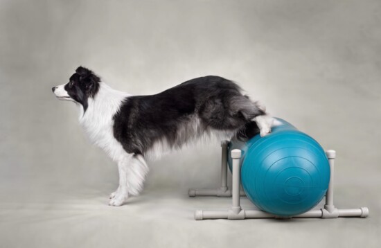 A variety of exercises improve range of motion and recovery time after surgery