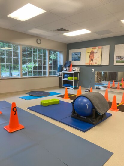 The studio at Animal Hospital of Worthington