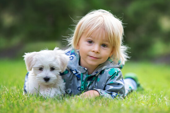 Do people look like their pets?