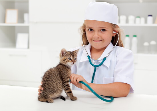 Cat's help a child's immune system.