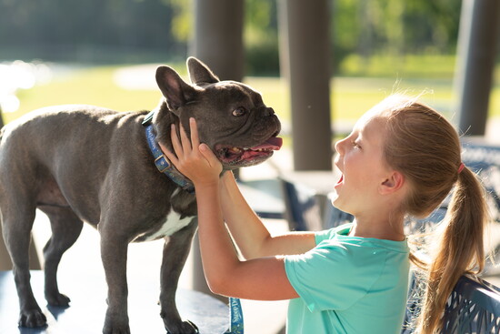 Who's a good boy?
