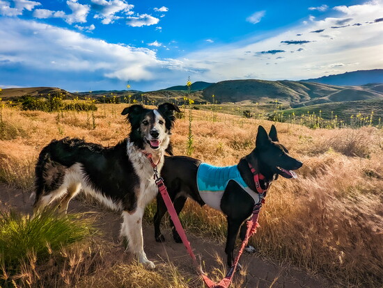 Boise Foothills Trails