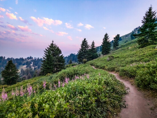 Bogus Basin Around the Mountain Trail