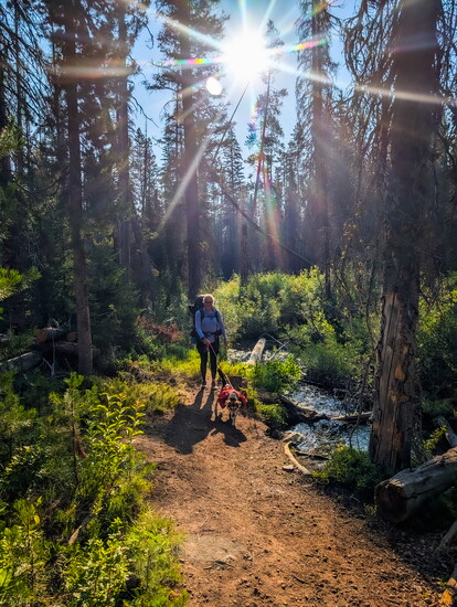 Vicky and Velvet in the Sawtooth National Forest
