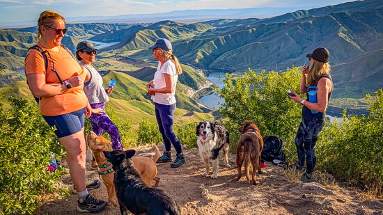 Pups and friends on Cervidae Peak