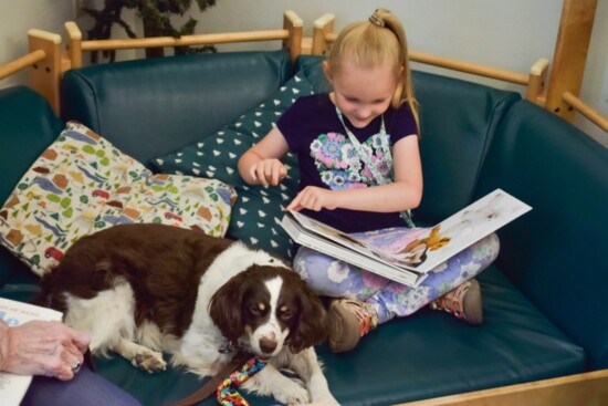 An avid Paws Reader enjoying a story with Lucky!