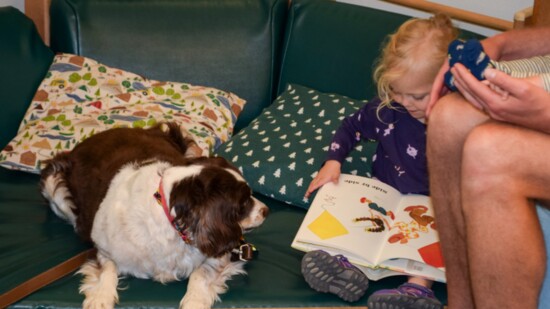 Lucky enjoying a story with a young PAWS Reader!