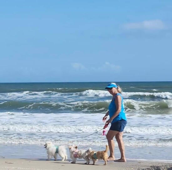 Have you been to the Doggie Beach in Ormond? Nanette McKeel Petrella walks Mac, Samson and Delilah... or maybe it's the other way around!