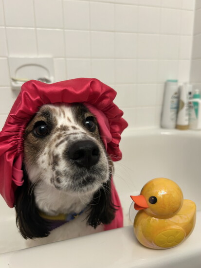 Murphy