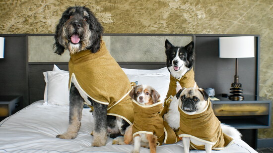 Hotel Van Zandt guests sporting luxury robes. Image courtesy of Hotel Van Zandt.