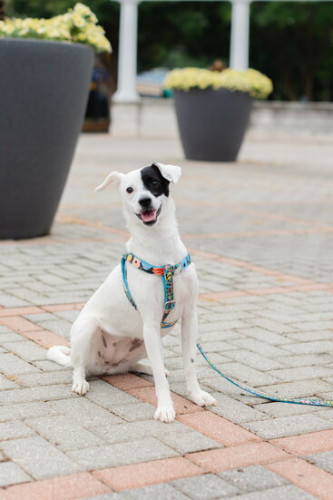 Ginny