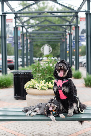 Winston and Dolly