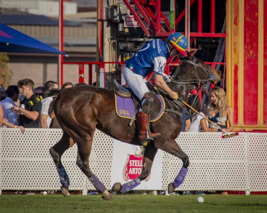 The Bentley Scottsdale Polo Championships