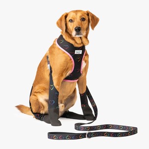dog%20with%20heart%20harness%20and%20leggings-300?v=1