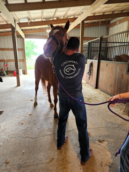 Cincinnati Animal Chiropractic on a "barn call" to treat both horse & rider.