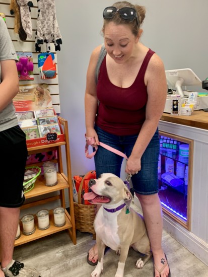 Chloe, a happy Pit, poses with owner Christine Read.