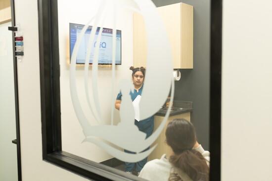 Big windows let pet owners watch all the activities if they wish