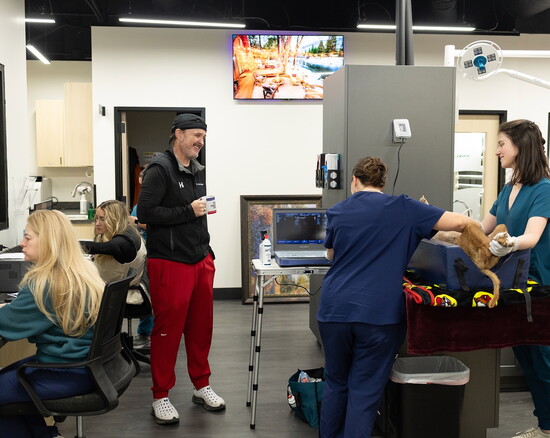 The Horizon Veterinary team collaborates during a routine day of patient care.