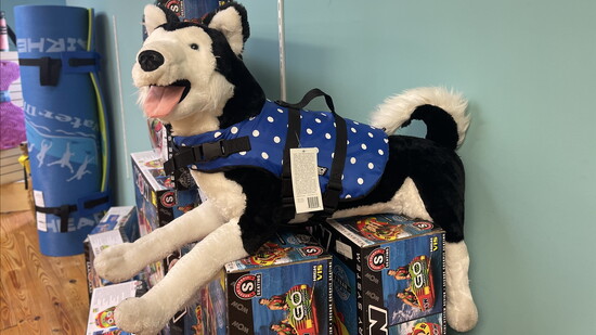 Trident Marina has life vests for your pets!