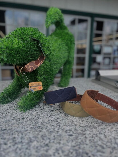 Werner's carries a variety of accessories for your four-legged friends. 