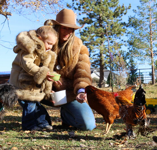Beau and Clay feeding the chickens on a warm winter day 