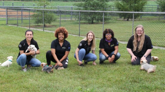 Petland employees visit with one of the breeders that Petland Tulsa works with. 