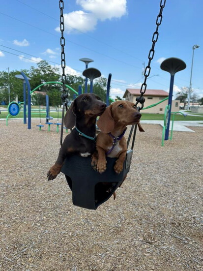 Bri & Opal swinging at the park (@Savanah Aguilar)