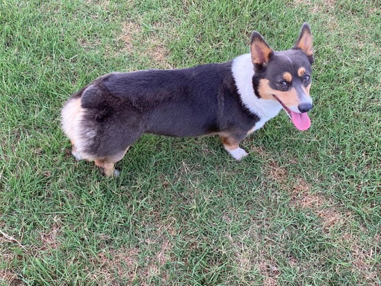 Ellie posing for the camera (@Mary Suzanne Kraft)