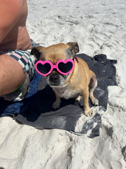 Zoe keeping it cool at the beach(@rachelschaffner)