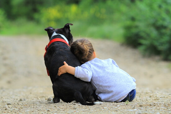 Child with a dog.