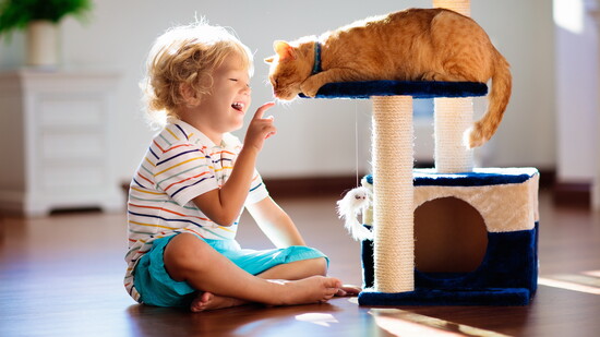 Child with a cat.