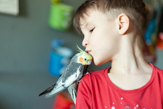 Child with a bird. 