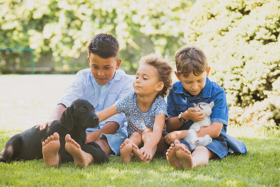 Children with a dog and a cat.