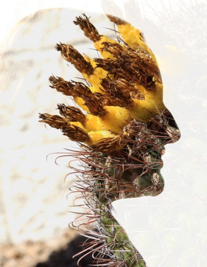 Headdress is a woman and a barrel cactus.