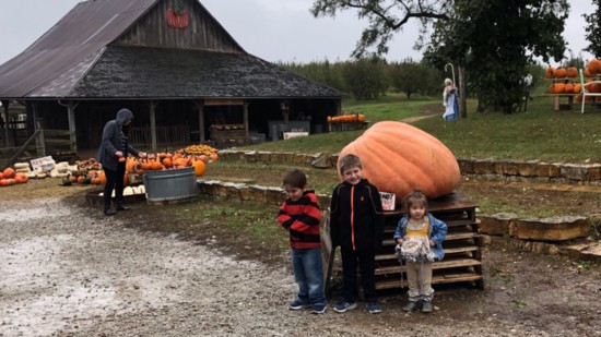 Picking the Perfect Pumpkin at Weston Red Barn Farm 