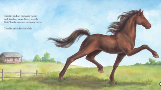 The Horse Who Wanted to Fly illustrated by Melissa Bailey