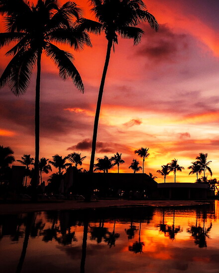 Izabella Munoz, Wayne Valley, “Sunset On Paradise”