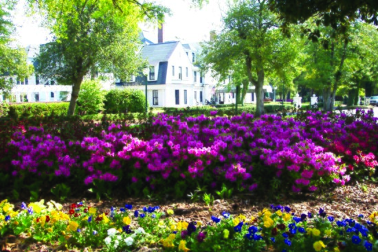 Charming Pinehurst village offers shopping, dining, galleries and shady spots for picnics.