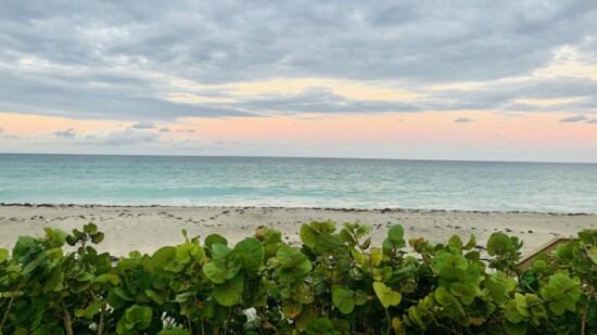 Plan a Palm Beach Getaway!
