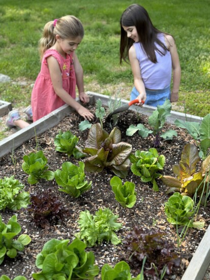 Students get hands-on with planting and harvesting as part of their Kaleidoscope curriculum. 