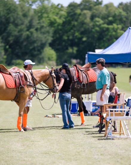 Preparing the Ponies